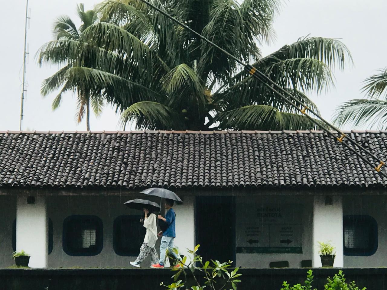 Sri Lanka Gallery Local Image